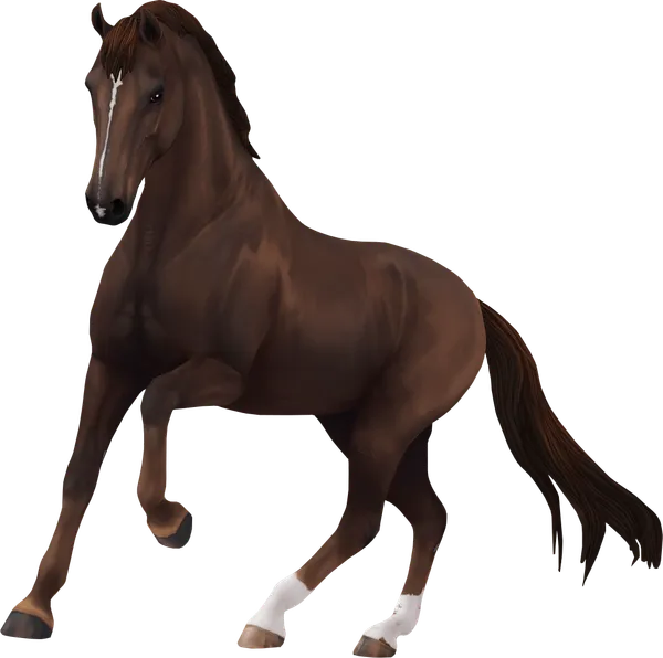 Dutch Warmblood, Liver Chestnut