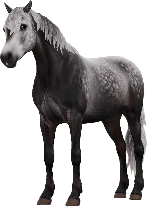 Connemara in Star Stable Online