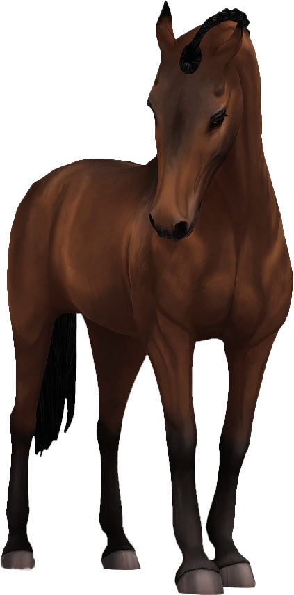 Belgian Warmblood in Star Stable Online