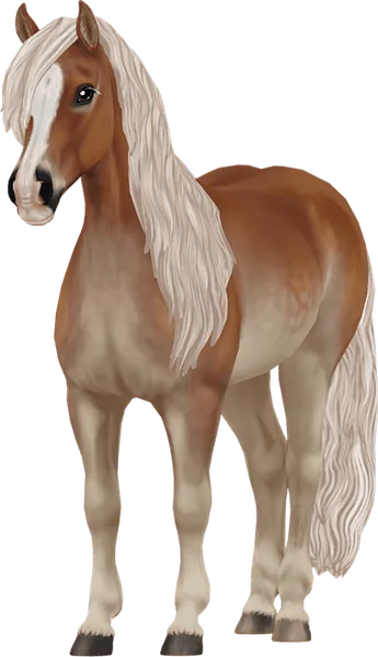 Haflinger, Dapple Flaxen Chestnut Pangere
