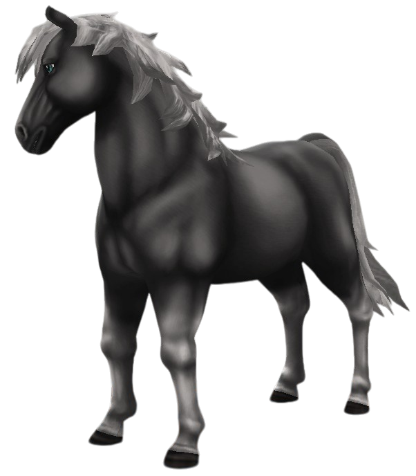 Nixie in Star Stable Online