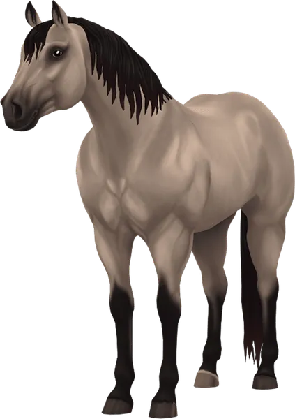 Jorvegian Quarter Horse, Buttermilk Buckskin