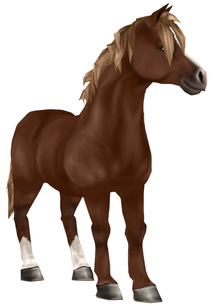 Jorvik Pony in Star Stable Online