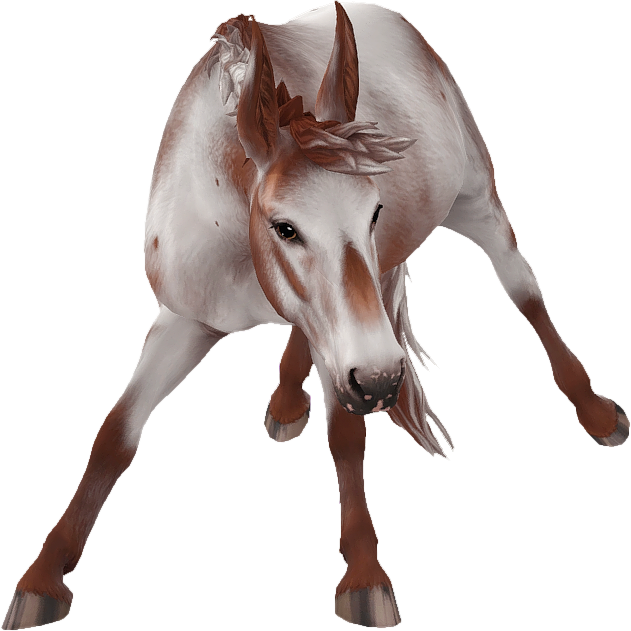 Mule in Star Stable Online