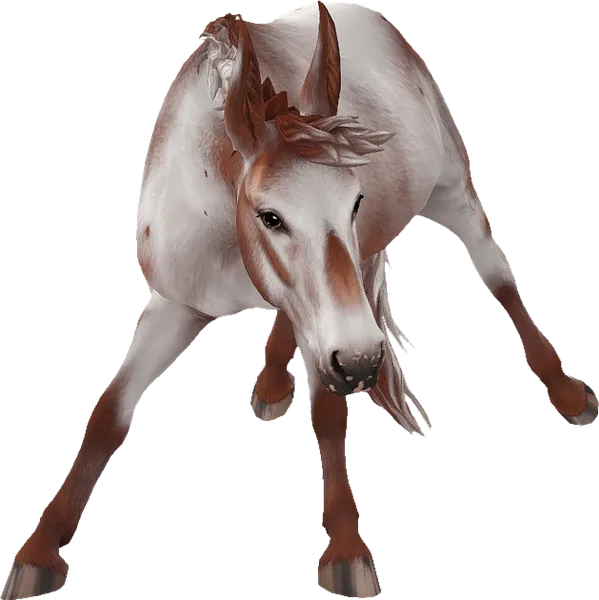 Mule, Varnish Red Roan
