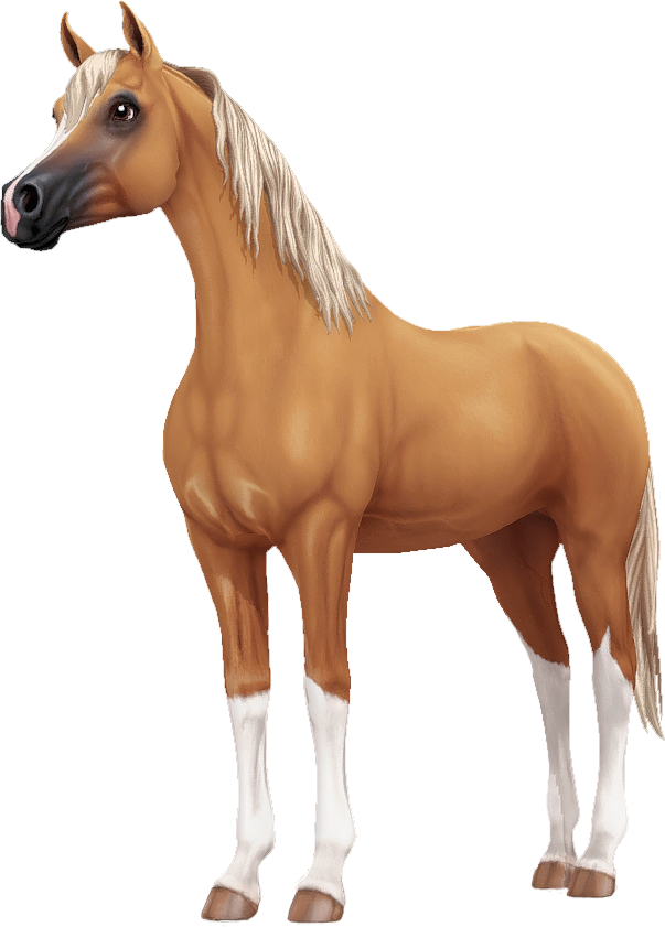 Arabian in Star Stable Online