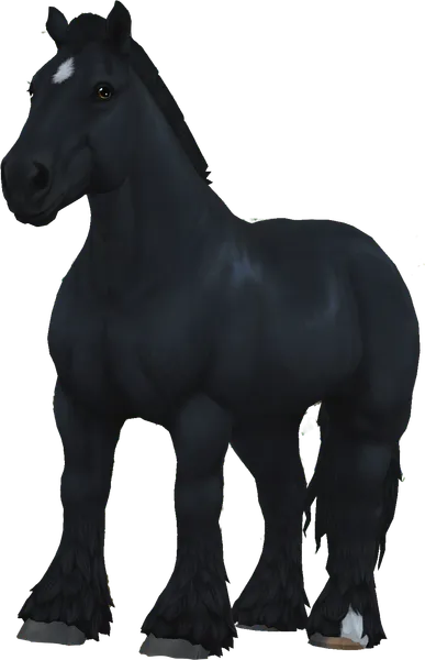 Brabant, Black