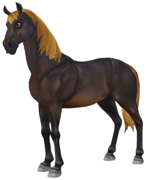 Morgan in Star Stable Online