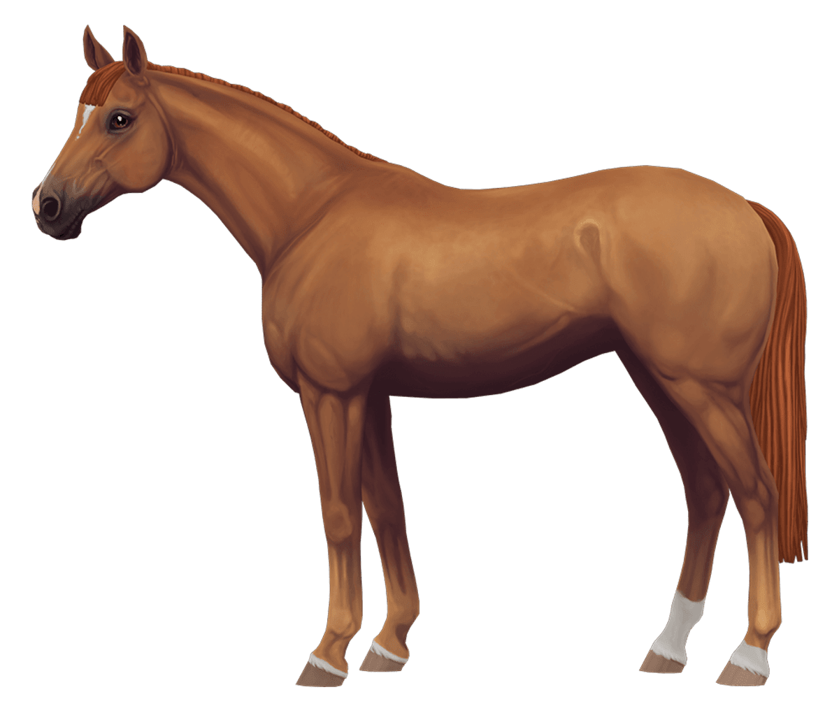 English Thoroughbred in Star Stable Online