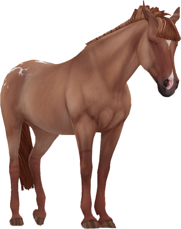 Appaloosa in Star Stable Online