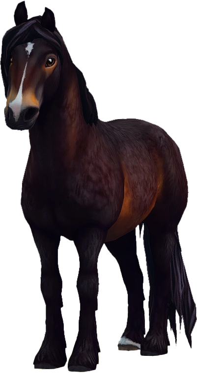 North Swedish Horse in Star Stable Online