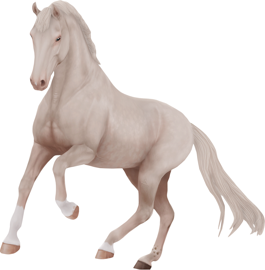 Dutch Warmblood in Star Stable Online