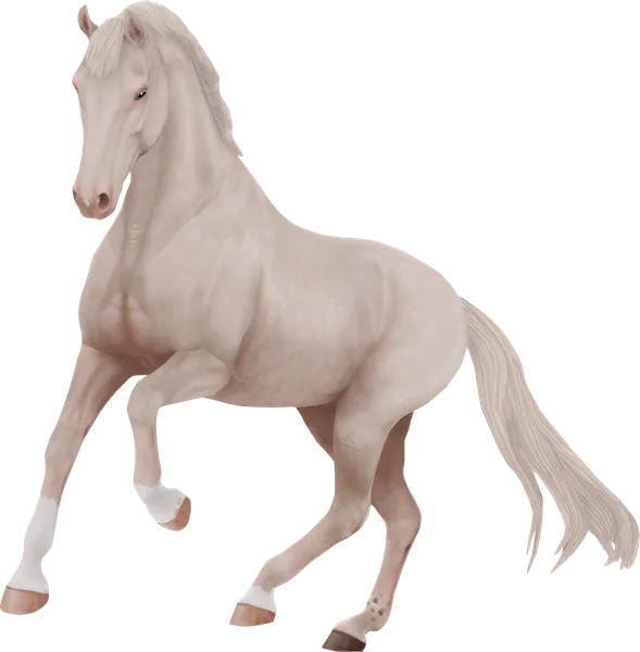 Dutch Warmblood, Cremello