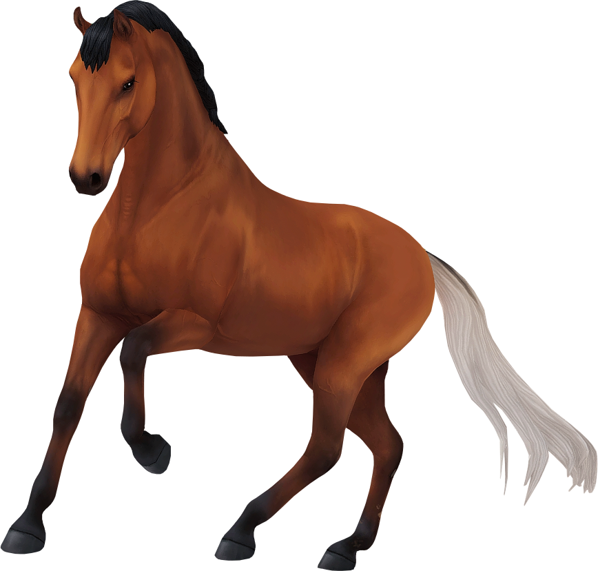 Dutch Warmblood in Star Stable Online
