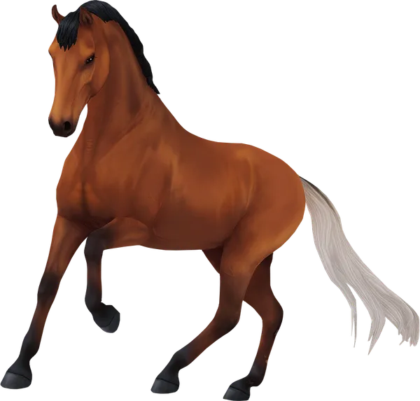 Dutch Warmblood, Bay Gulastra Plume