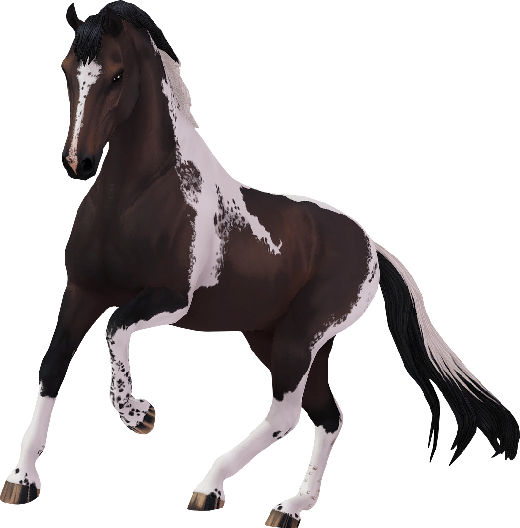 Dutch Warmblood in Star Stable Online