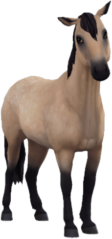Chincoteague Pony in Star Stable Online