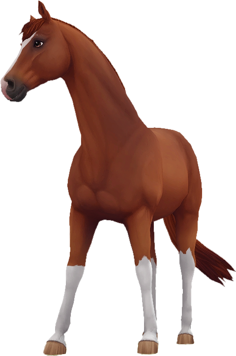 Trakehner in Star Stable Online