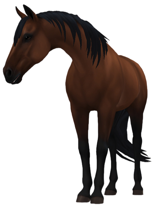 Tennessee Walking Horse in Star Stable Online