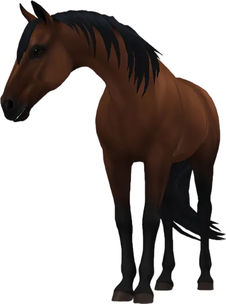 Tennessee Walking Horse, Bay
