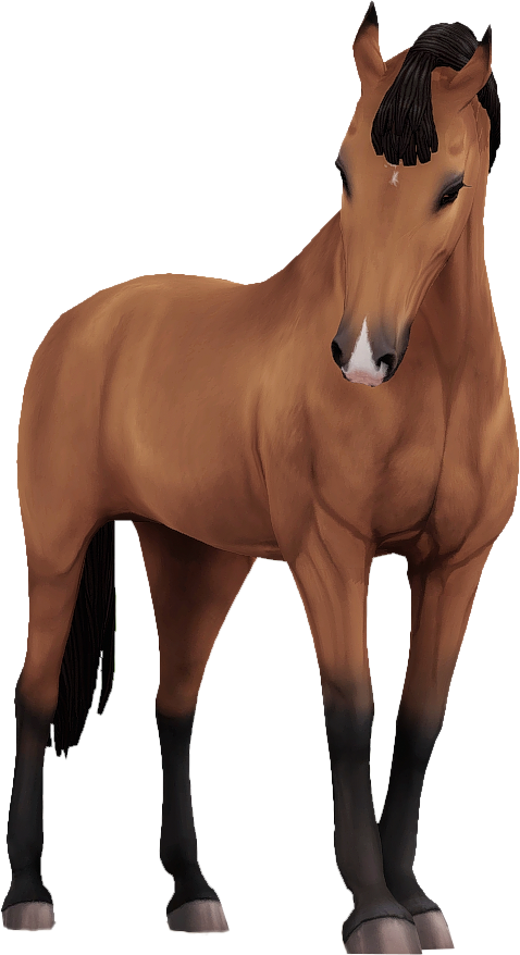 Belgian Warmblood in Star Stable Online
