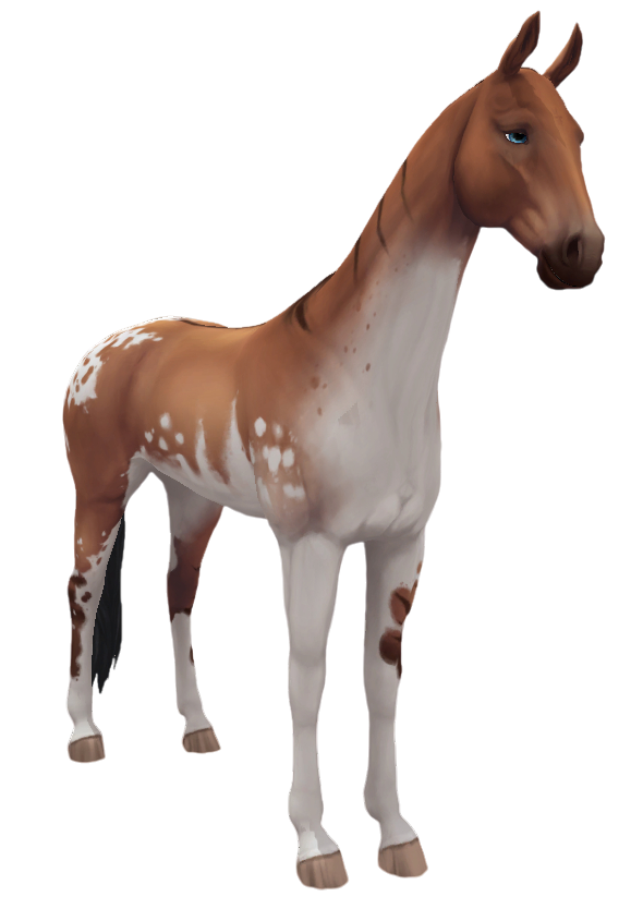 Akhal Teke in Star Stable Online