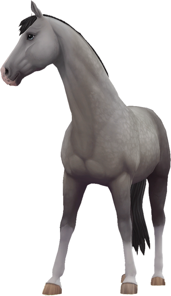 Trakehner in Star Stable Online