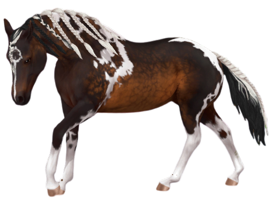 American Paint Horse in Star Stable Online