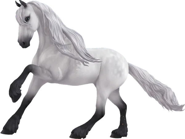 Friesian Sport Horse, Reverse Dapple Grey