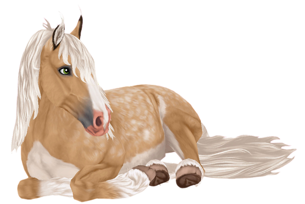 Jorvik Wild Horse in Star Stable Online