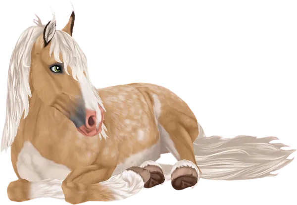 Jorvik Wild Horse, Mantle Palomino