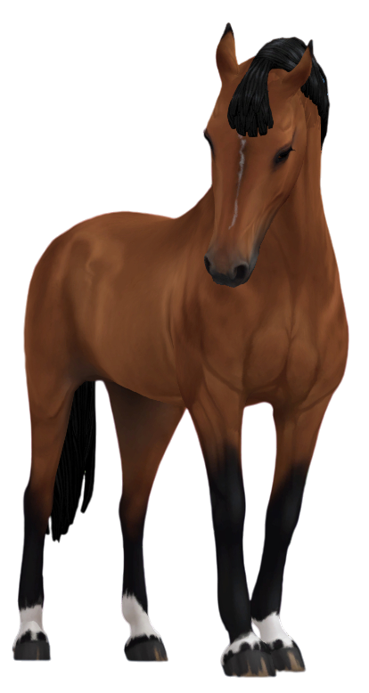 Belgian Warmblood in Star Stable Online