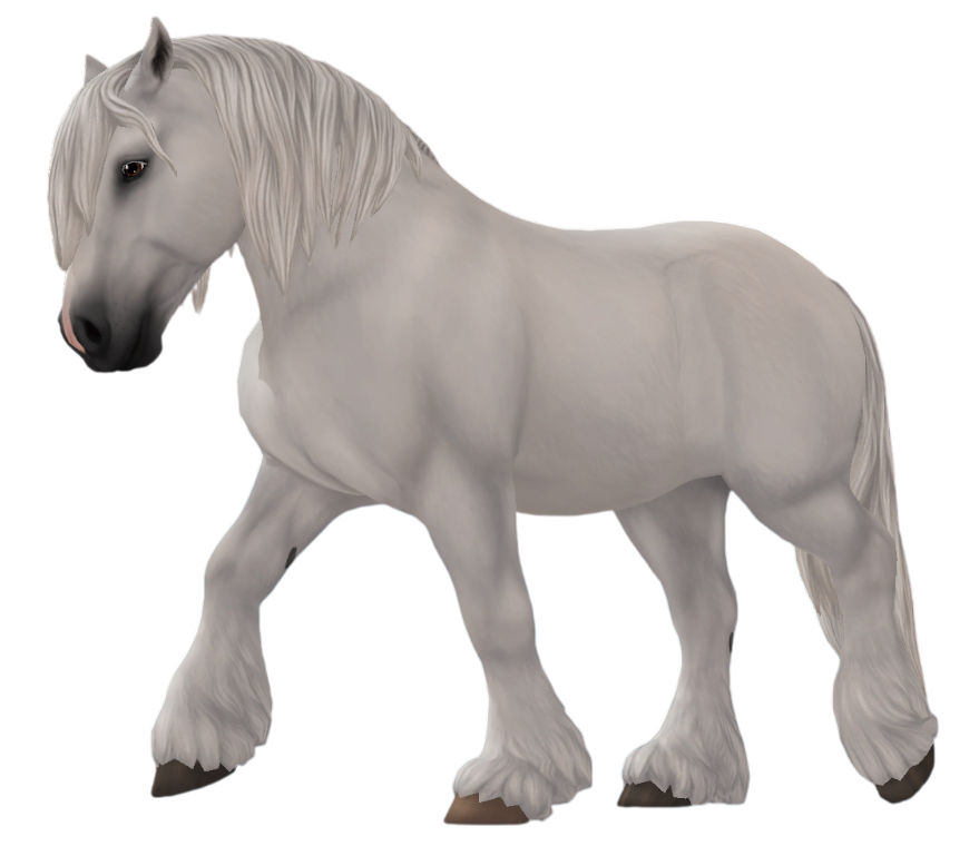 Ardennes in Star Stable Online