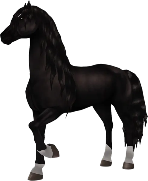 Friesian Sport Horse, Bay Black