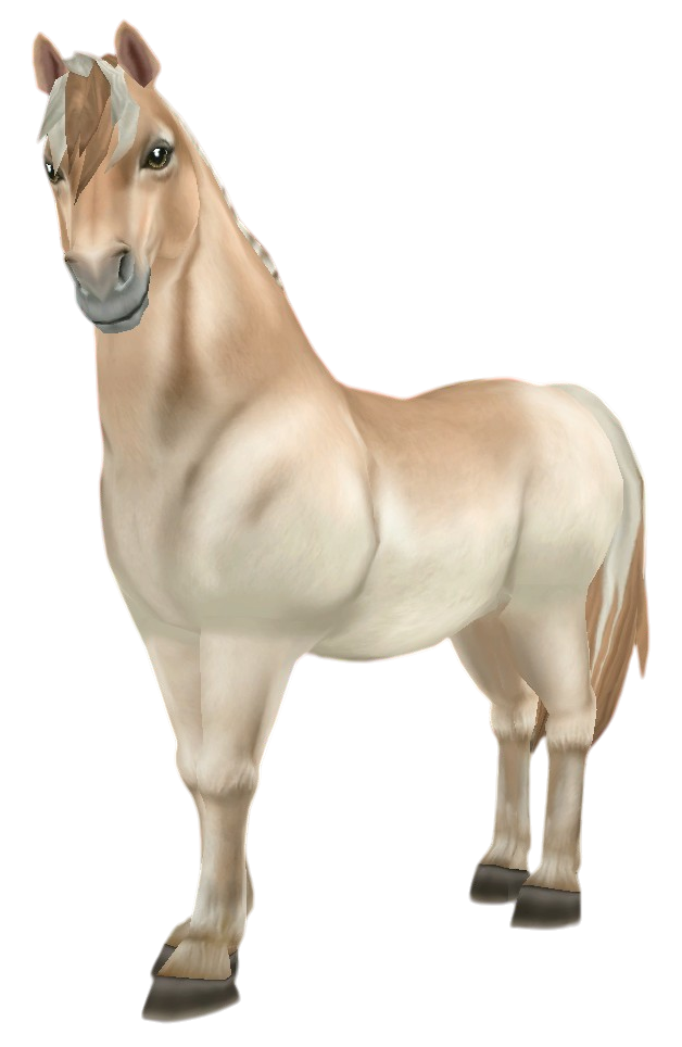 Fjord in Star Stable Online