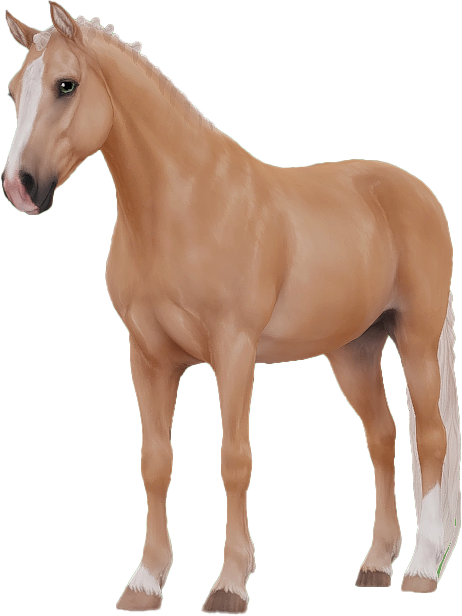 Connemara in Star Stable Online
