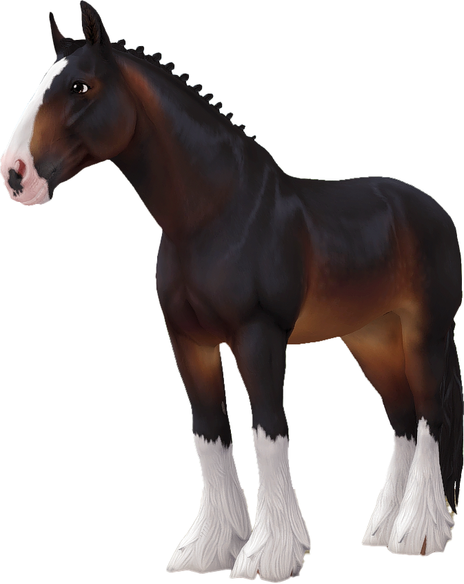 Shire in Star Stable Online