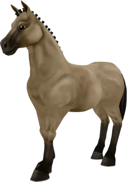 Chincoteague Pony, Buckskin