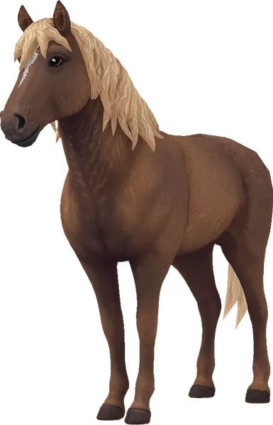 Curly Horse, Flaxen Chestnut