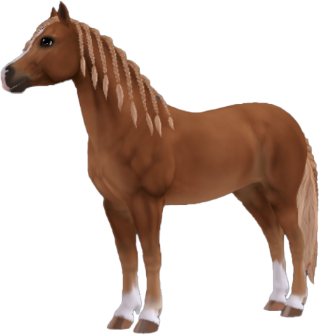 Welsh Pony in Star Stable Online