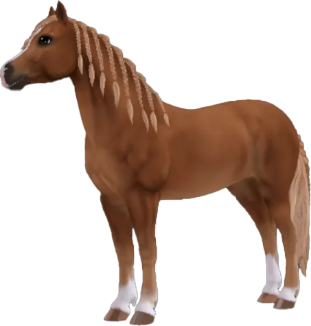 Welsh Pony, Flaxen Chestnut