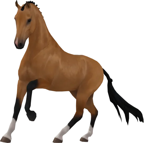 Dutch Warmblood, Buckskin