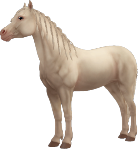 Welsh Pony in Star Stable Online