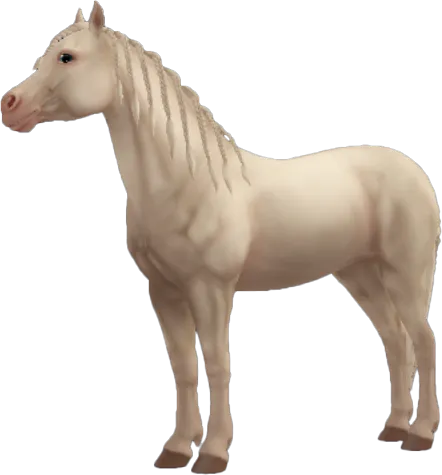 Welsh Pony, Cremello