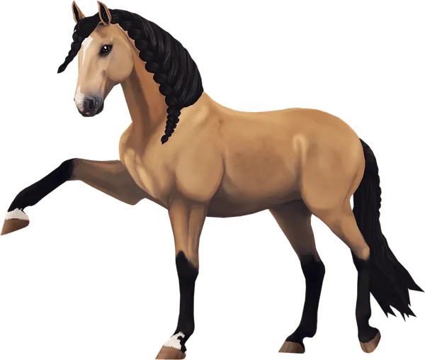 Jorvik Andalusian, Buckskin
