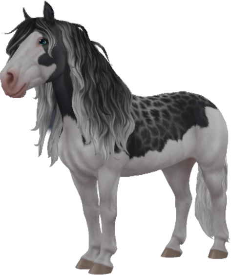 Black Forest Horse in Star Stable Online