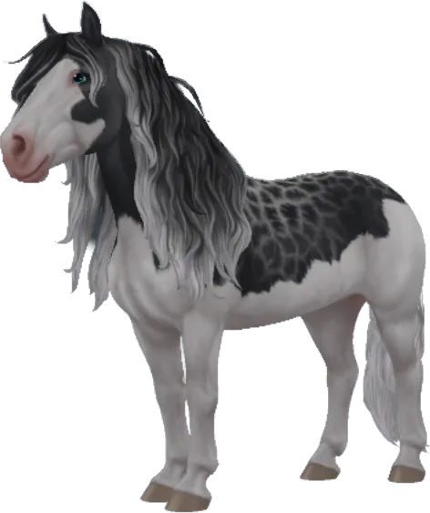 Black Forest Horse, Reverse Dapple Grey Splash