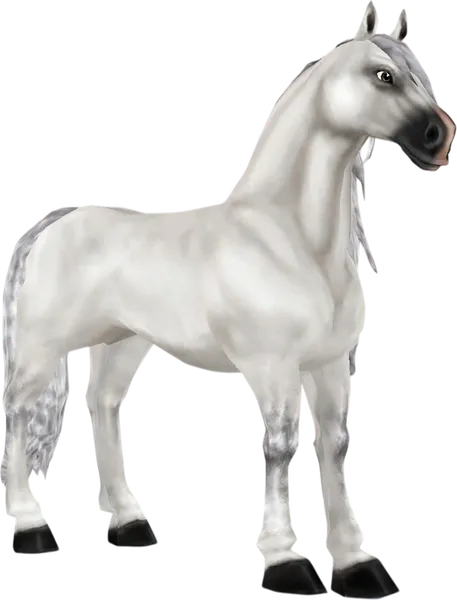 Andalusian, White Grey