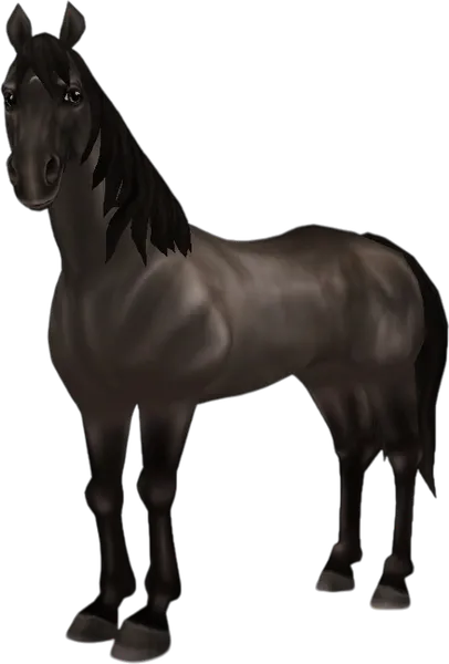 American Quarter Horse, Grullo