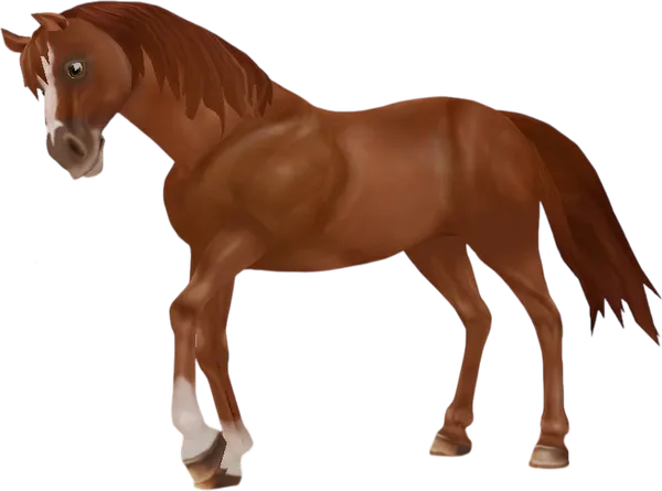 Westphalian, Chestnut
